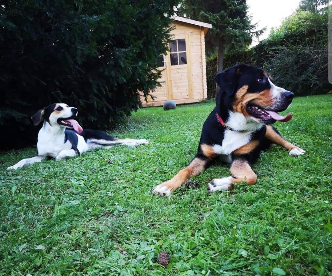 Moja Vila Bled Bagian luar foto